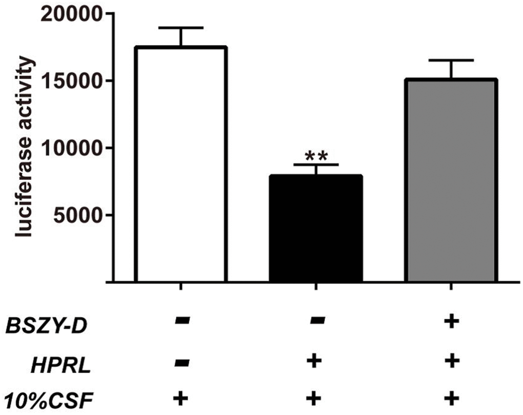 Luciferase activity measured and normalized according to renilla luciferase activity in GT1-7 cells transiently transfected with the CSN5 luciferase promoter. The results were presented as mean ± SD(n = 3). **p 