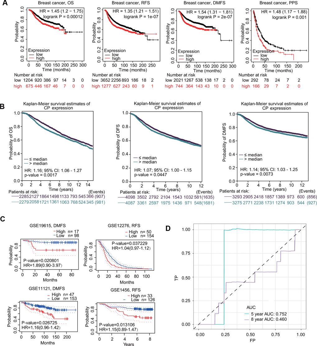 Prognostic values of ceruloplasmin in BRCA patients. (A) Survival curves from Kaplan–Meier Plotter indicated that higher ceruloplasmin expression was related to worse OS, RFS, DMFS and PPS in patients with BRCA. (B) Survival curves from bc-GenExMiner v4.5 showed the prognostic value of ceruloplasmin in BRCA patients based on OS, DFS and DMFS. (C) The DMFS and RFS in BRCA cohorts using the PrognoScan database. (D) ROC curve of ceruloplasmin mRNA expression in BRCA.