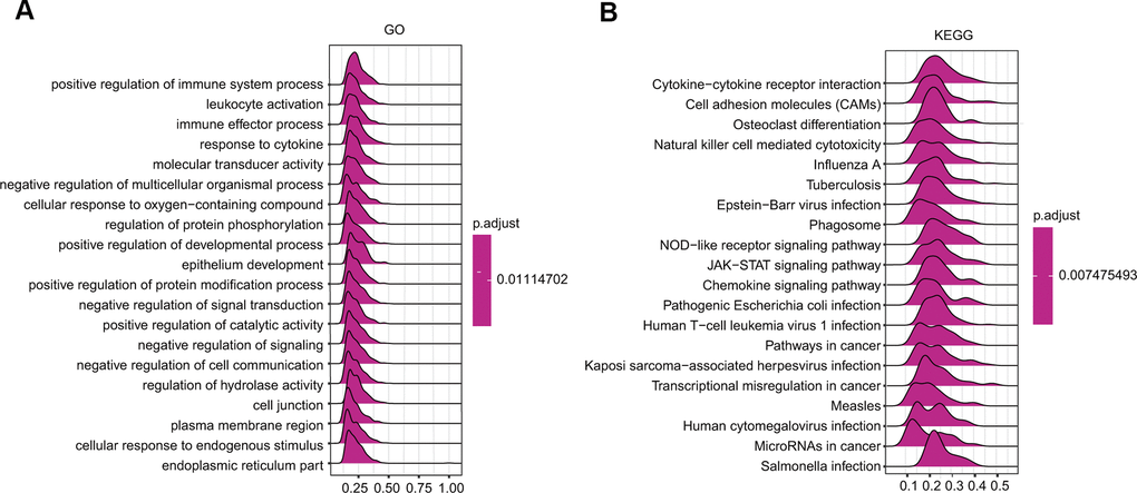 GSEA results revealing the ceruloplasmin-associated signaling pathways based on KEGG (A) and Reactome analyses (B) in BRCA.