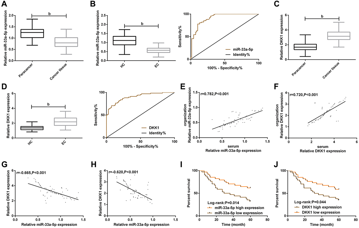 Clinical value of miR-33a-5p and DKK1 in esophageal cancer. (A) Expression of miR-33a-5p in esophageal cancer tissues; (B) Serum miR-33a-5p expression in esophageal cancer and ROC curve; (C) Expression of DKK1 in esophageal cancer; (D) Serum DKK1 expression in esophageal cancer and ROC curve; (E) Serum miR-33a-5p expression was correlated with esophageal cancer; (F) Serum DKK1 expression was correlated with the esophageal cancer; (G) Correlation between miR-33a-5p and DKK1 in esophageal cancer tissues; (H) Correlation between miR-33a-5p and DKK1 in serum of esophageal cancer patients; (I) Relationship between serum miR-33a-5p expression and 5-year OS of patients; (J) Relationship between serum DKK1 expression and 5-year OS of patients. The inter-group comparison was conducted by the independent sample t-test, mean ± SD, bP 