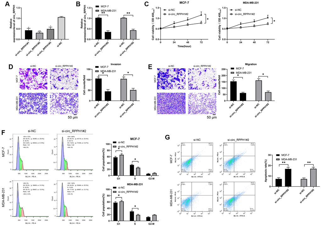 Carcinogenic role of circ