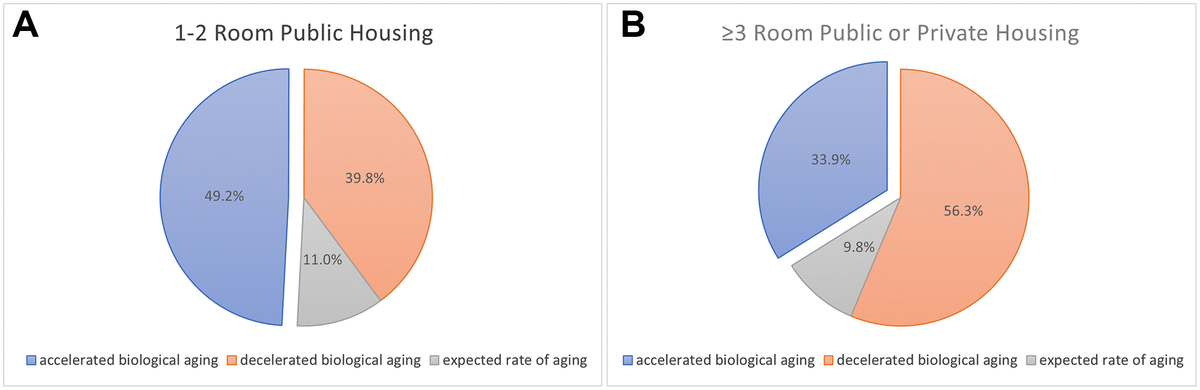 (A) The number and proportions of older adults resided in 1–2 room public housing who had accelerated biological aging was higher (N = 130, 49.2%), compared to those with decelerated biological aging (N = 105, 39.8%). There were 29 older adults with equal rate of biological aging with chronological aging (11%). (B) The number and proportions of older adults resided in 3 room or higher public housing or private housing who had accelerated biological aging was lower (N = 38, 33.9%), compared to those with decelerated biological aging (N = 63, 56.3%). There were 11 older adults with equal rate of biological aging with chronological aging (9.8%).
