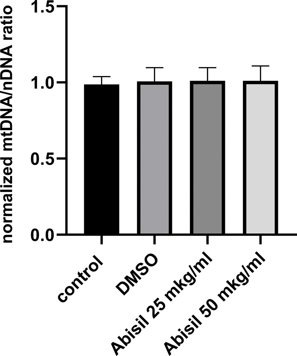 Relative mitochondrial copy number determined by qPCR in MRC5-SV40 cells, untreated (control), treated with DMSO or Abisil (16 hours after treatment). The mtDNA/nDNA copy number ratio was normalized to DMSO treated samples.
