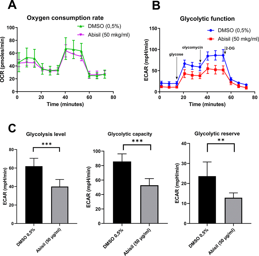 Changes in mitochondrial respiration and glycolysis level of MRC5-SV40 cells after Abisil treatment. (A) After 16 hours of Abisil treatment, mitochondrial respiration reflected by the level of oxygen consumption rate (OCR) in control (DMSO 0.5%) or Abisil (50 μg/ml) groups (n = 4 per group), following the injection of oligomycin, FCCP and antimycin A/rotenone. (B) the extracellular acidification rate (ECAR) of the medium following injection of glycose, oligomycin and 2 desoxyglucose. (C) The rates of glycolysis level, glycolytic capacity and glycolytic reserve (n = 4 per group). Bars represent mean values with SD, **p p t-test). Glycolytic level – the basal rate of conversion of glucose to pyruvate/lactate; glycolytic capacity – the maximal rate of glycolysis that can be rapidly achieved by a cell; glycolytic reserve – the difference between the glycolytic capacity and the basal glycolytic rate.