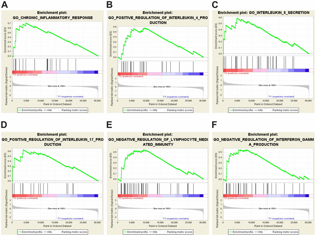 GSEA-enrichment plots of representative gene sets in the IVE group. (A) chronic inflammatory response (NES,1.777; FDR q-value, 0.012; NOM p-value, B) positive regulation of IL-4 production (NES, 1.549; FDR q-value, 0.023; NOM p-value, 0.028). (C) IL-8 secretion (NES, 1.654; FDR q-value, 0.034; NOM p-value, 0.006). (D) positive regulation of IL-17 production (NES, 1.572; FDR q-value, 0.025; NOM p-value, 0.021). (E) negative regulation of lymphocyte mediated immunity (NES, 1.631; FDR q-value, 0.022; NOM p-value, 0.009). (F) negative regulation of IFNγ production (NES, 1.561; FDR q-value, 0.024; NOM p-value, 0.031).