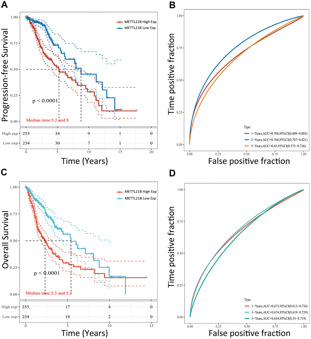 Prognostic value of METTL21B for patients with LGG in TCGA. The effect of METTL21B expression on overall survival (A) and progression-free survival (C) of patients; The ROC curve for OS (B) and PFS (D).