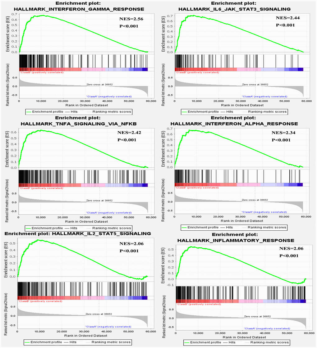 Six immune-related gene sets were enriched by GSEA.