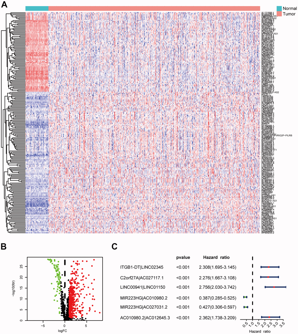 Identification of DEirlncRNAs. (A, B) The differential co-expression analysis identified 517 DEirlncRNAs. (C) Forest map shows the six DEirlncRNA pairs screened by Cox proportional hazard regression.