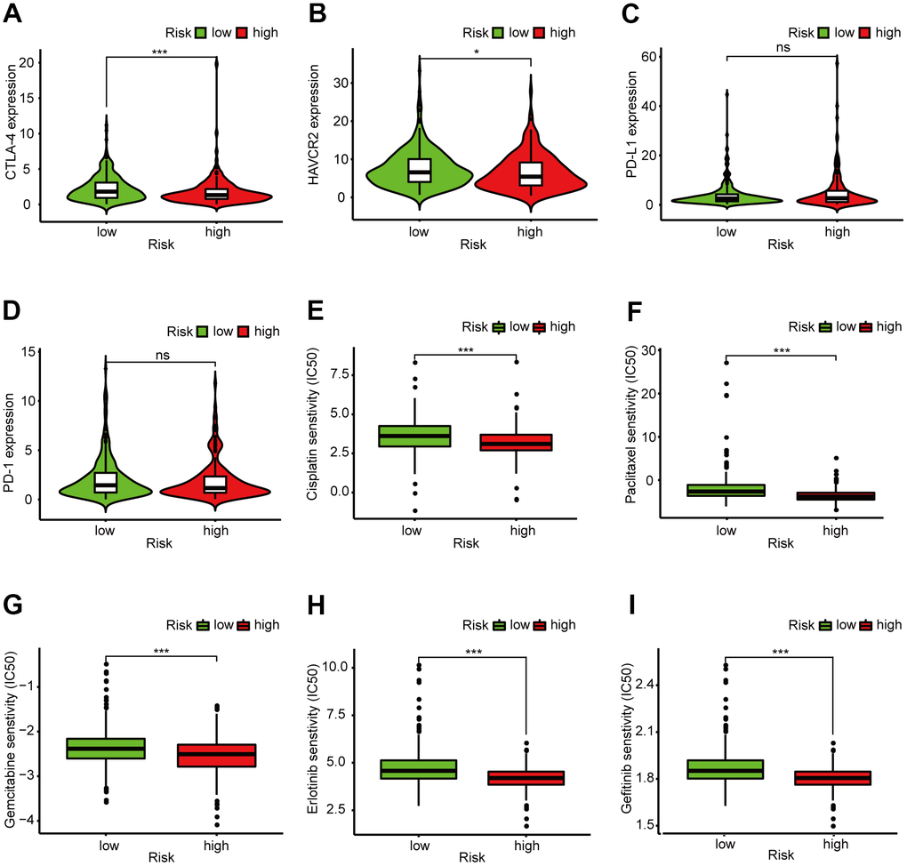 Clinical application of the 6-DEirlncRNA pair signature. (A–D) High risk score correlated negatively with high HAVCR2 (B) and PD-1 (D) expression, and correlated positively with high CTLA-4 (A) and PD-L1 (C) expression; There was no statistical difference in PD-1 and PD-L1 between different risk groups. (E–I) The signature could serve as a promising biomarker of anti-tumor drug sensitivity: low risk scores were associated with higher IC50 for cisplatin (E), paclitaxel (F), gemcitabine (G), erlotinib (H), and gefitinib (I).