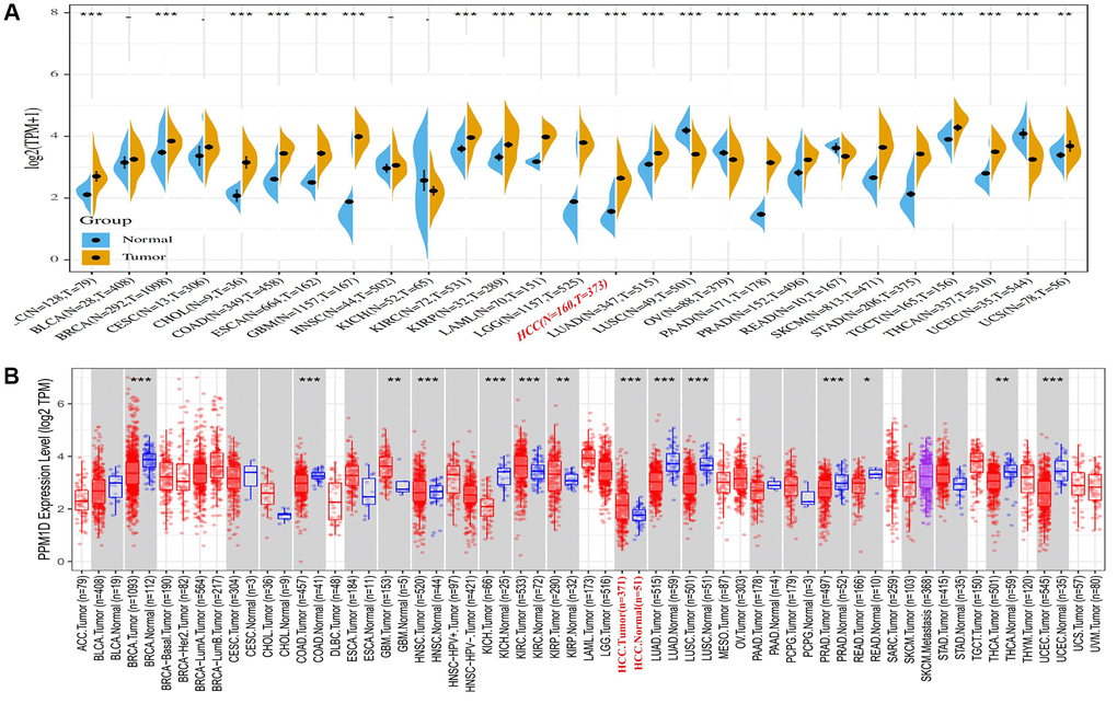 PPM1D expression in different types of human cancers. (A) High or low expression of PPM1D in different human cancer tissues compared with normal tissues using the Sangerbox database. (B) The level of PPM1D expression in different tumor types from the TCGA database in TIMER. Note: *P **P ***P 