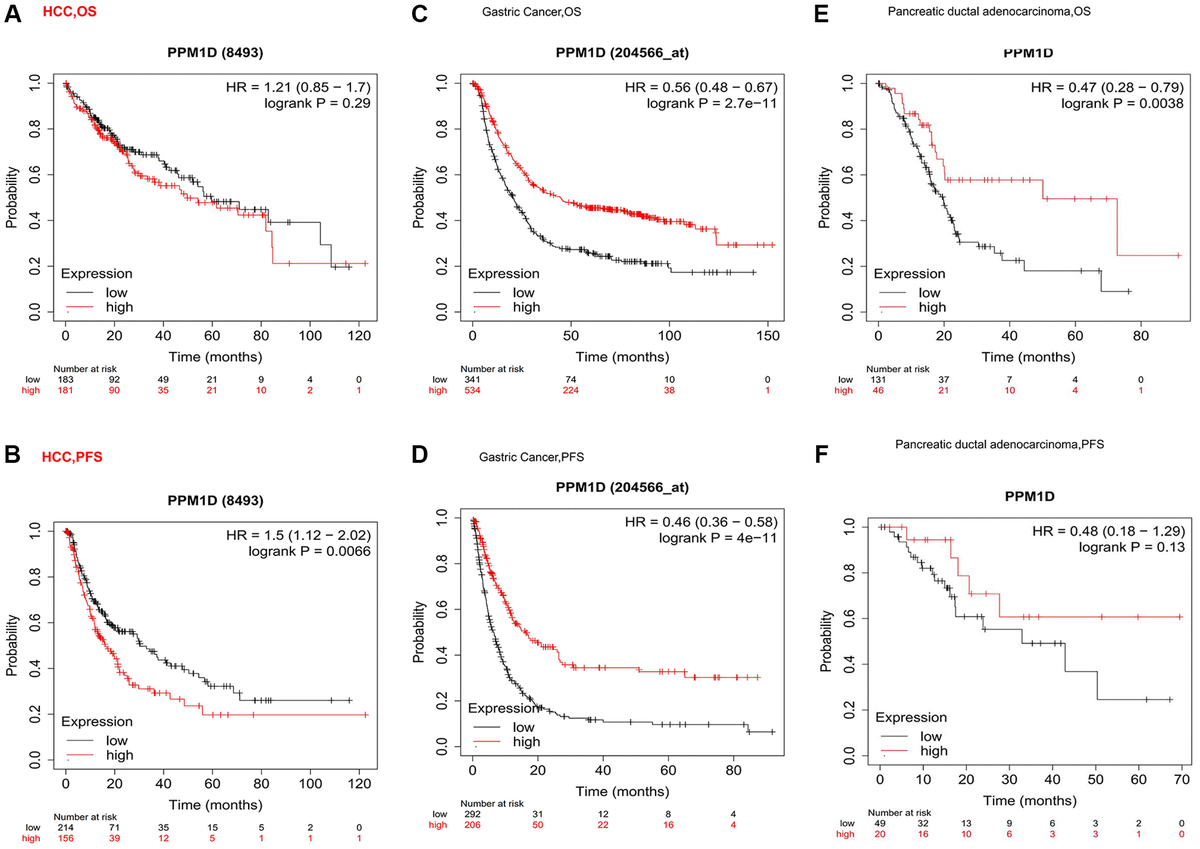 Kaplan-Meier survival curve analysis of the prognostic significance of high and low expression of PPM1D in different types of human cancers using the Kaplan-Meier plotter database (A–F). (A, B) OS and High PPM1D expression was correlated with poor PFS in HCC (n = 364, n = 370). (C, D) Survival curves of OS and PFS survival curves in the gastric cancer (n = 875, n = 498). (E, F) OS and PFS survival curves in the Pancreatic ductal adenocarcinoma (n = 177, n = 69). Abbreviations: OS: overall survival; PFS: progression-free survival.