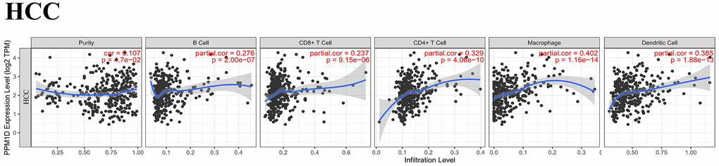 Correlation analysis of PPM1D expression and infiltration levels of immune cells in HCC tissues based on the TIMER database. PPM1D expression in HCC tissues positively correlates with tumor purity and infiltration levels of B cells, CD8+ T cells, CD4+ T cells, macrophages, and DCs.