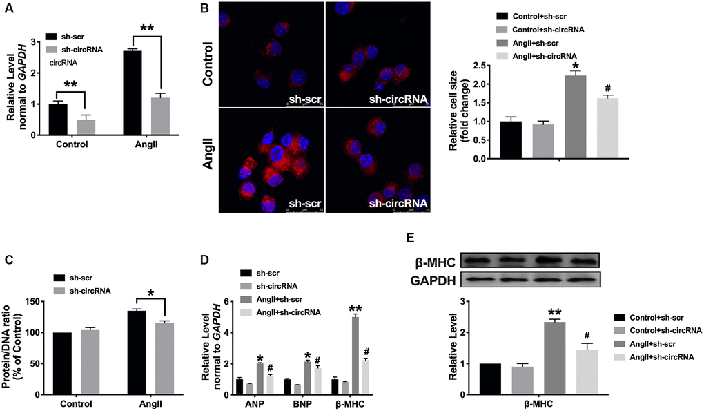 Silencing of circ