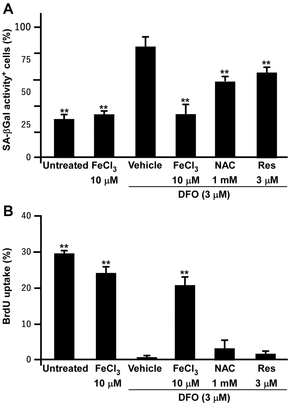 FeCl3 but not antioxidant rescues the DFO-induced senescent phenotypes and proliferation inhibition. (A) SA-βGal activity assay of EPCs. EPCs were treated with FeCl3 or DFO (3 μM) plus FeCl3, N-acetylcysteine (NAC), and Resveratrol (Res) as indicated concentrations for 4 days. (B) Iron but not antioxidants rescued DFO-induced proliferation inhibition. EPCs were treated with FeCl3 or DFO plus FeCl3 and antioxidants as described in (A). ** Compared with vehicle, P 