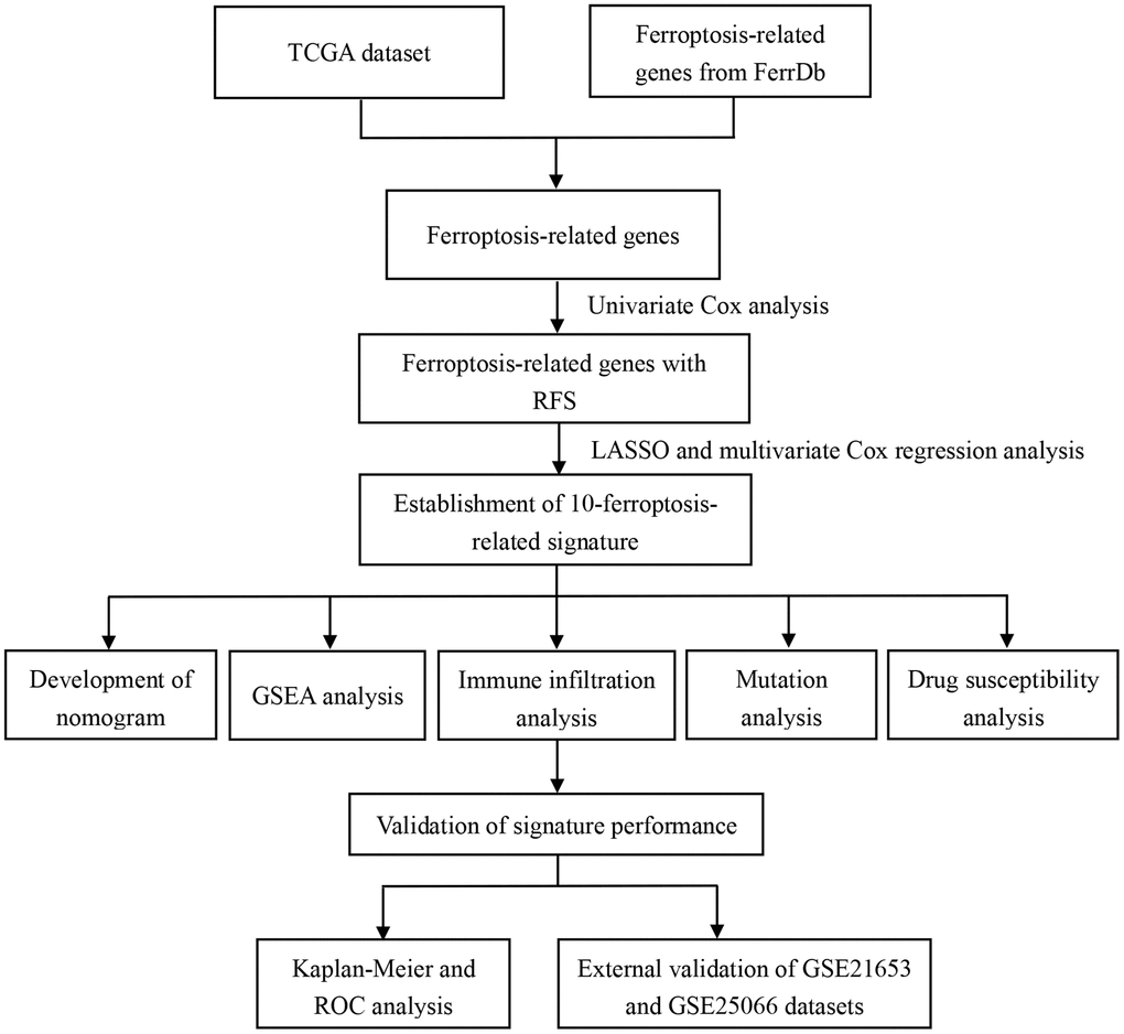 The flow chart of data analysis in this study.