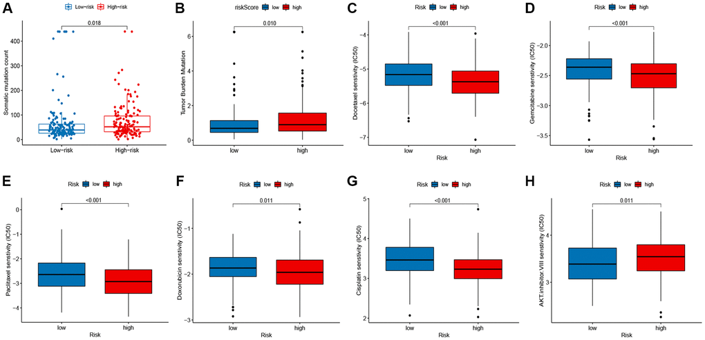 Correlation between the signature, mutation status, and drug susceptibilities. (A) somatic mutation count in the high- and low-risk groups. (B) tumor mutation burden (TMB) in the high- and low-risk groups. (C–H) drug susceptibilities in the high- and low-risk groups.