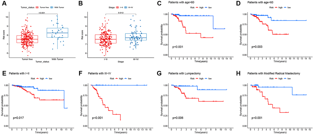 Correlation between signature and clinicopathological features. (A–B) Correlation of signature with clinicopathological features. (C–H) the predictive performance of the signature in different subgroups.