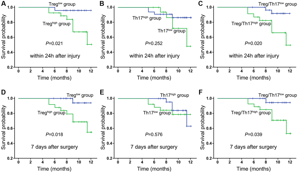 Kaplan-Meier survival curves of all enrolled HF patients in relation to Treg cells, Th17 cells and the ratio of Treg/Th17 cells at 24 h after injury (A–C) and day 7 after surgery (D–F). Differences between the strata were tested using log-rank statistics.
