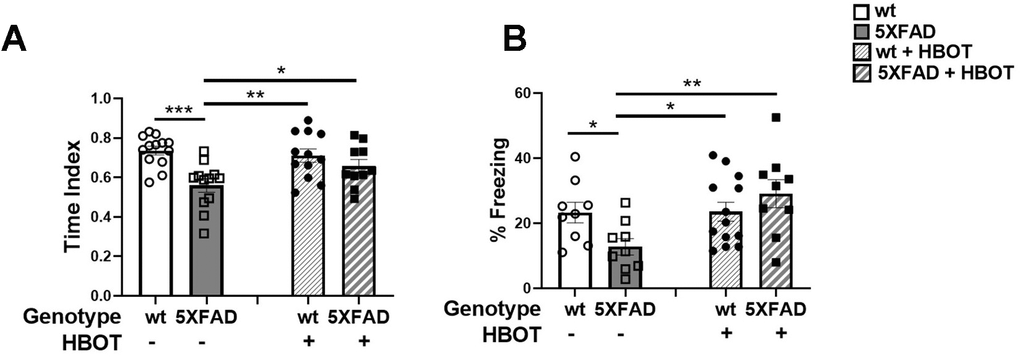 HBOT improves performance of 5XFAD mice in cognitive tasks. (A) In the Y-maze test, HBO-treated 5XFAD mice showed better spatial memory as reflected in the time index, which is displayed as the ratio (novel /novel + familiar) to time in each arm. (B) In the trace fear conditioning assay, mice underwent conditioning involving 6 rounds of tone-shock pairing with a trace interval. On the following day, the mice were exposed to the same context with no exposure to tone or shock. Results of contextual freezing are expressed as the percent of total time spent frozen in the training context. Two-way ANOVA with/without repeated measures and post-hoc Fisher LSD tests were performed. Values represent means ± SEM. *P P P 