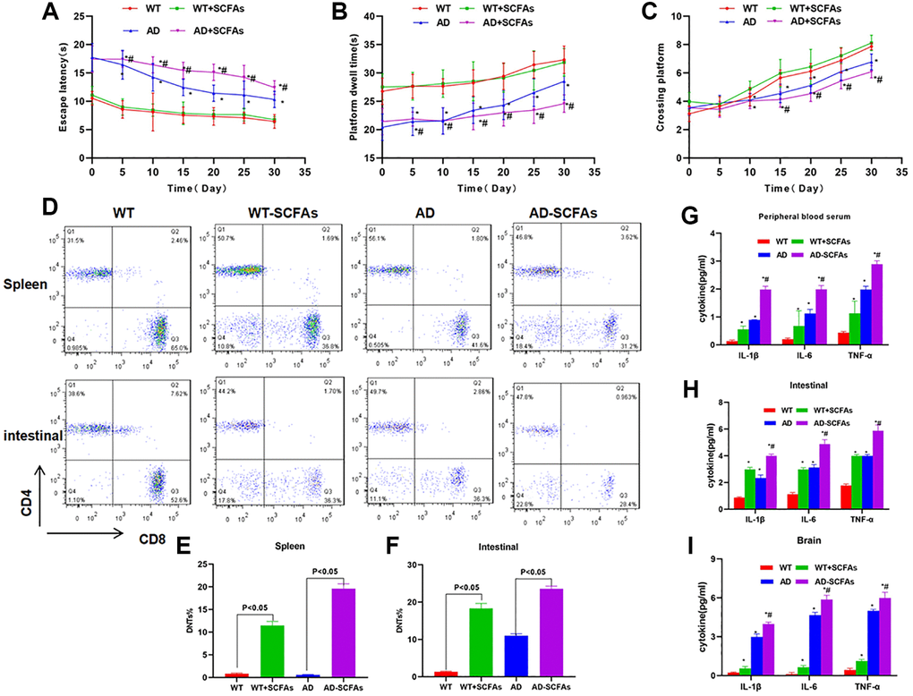 Effect of SCFAs on the cognitive ability, DNTs differentiation and expression of inflammatory factor in AD mice. (A–C) Results of Morris water maze in mice (x¯ ± s, n = 10): Compared with WT group at the same time point, *P #P D–F) Results of DNTs test (x¯ ± s, n = 10) in vivo: Comparison of proportion of DNTs in the spleen in (E), and comparison of proportion of DNTs in the intestine in (F). Statistical significance between the groups, P G–I) The expression levels of inflammatory factors (IL-1β, IL-6 and TNF-α) in peripheral blood, intestine and brain of mice (x¯ ± s, n = 10): Comparison with WT group, *P #P 