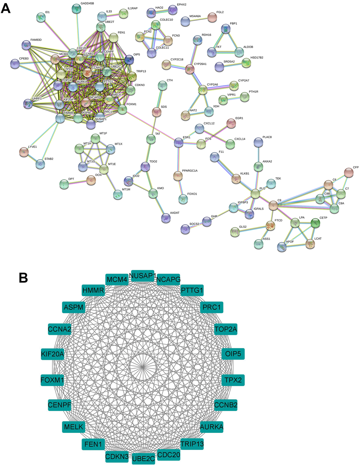 Identification of hub genes from common DEGs. (A) PPI network of the common DEGs was constructed by the STRING database. (B) The sub-module of PPI network as identified by the MCODE tool in Cytoscape.