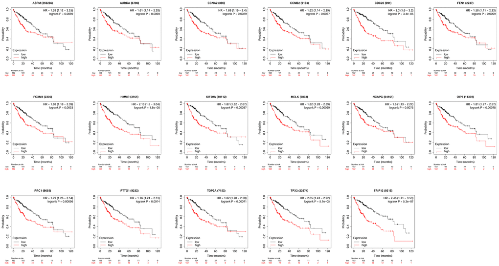 The correlation between the expression of 17 hub genes (APSM, AURKA, CCNA2, CCNB2, CDC20, FEN1, FOXM1, HMMR, KIF20A, MELK, NCAPG, OIP5, PRC1, PTTG1, TOP2A, TPX2 and TRIP13) and the overall survival of patients with HCC was analyzed by KM plotter. A total of 364 patients with HCC (low expression = 182 and high expression = 182) were included in the analysis.