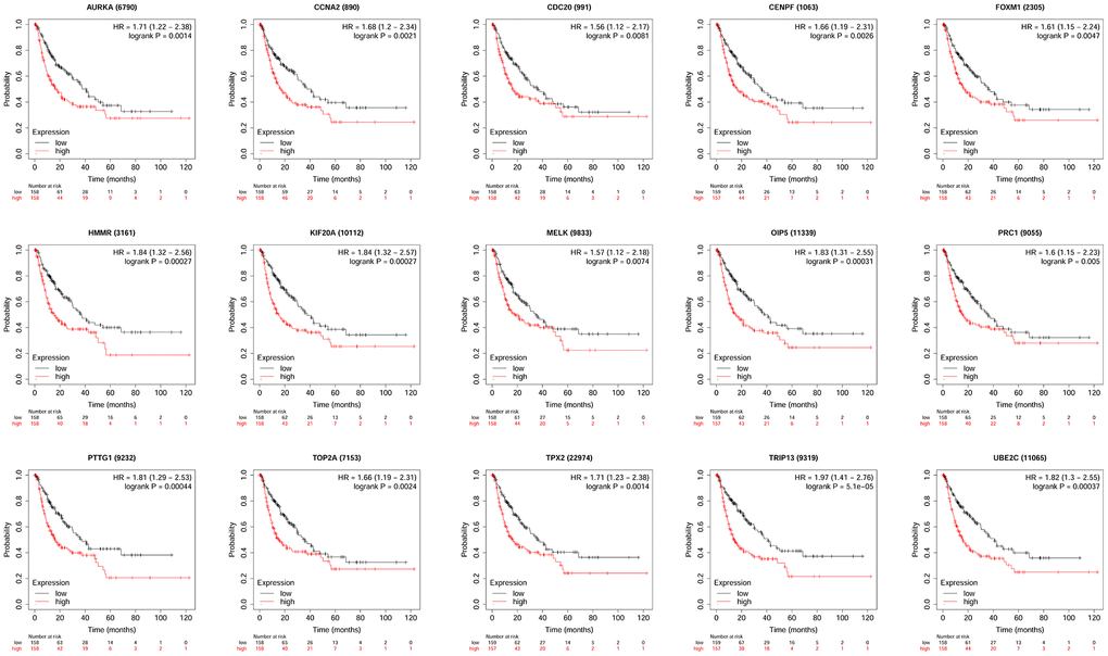 The correlation between the expression of 15 hub genes (AURKA, CCNA2, CDC20, CENPF, FOXM1, HMMR, KIF20A, MELK, OIP5, PRC1, PTTG1, TOP2A, TPX2, TRIP13 and UBE2C) and the disease-free survival of patients with HCC was analyzed by KM plotter. A total of 316 patients with HCC (low expression = 158 and high expression = 158) were included in the analysis.