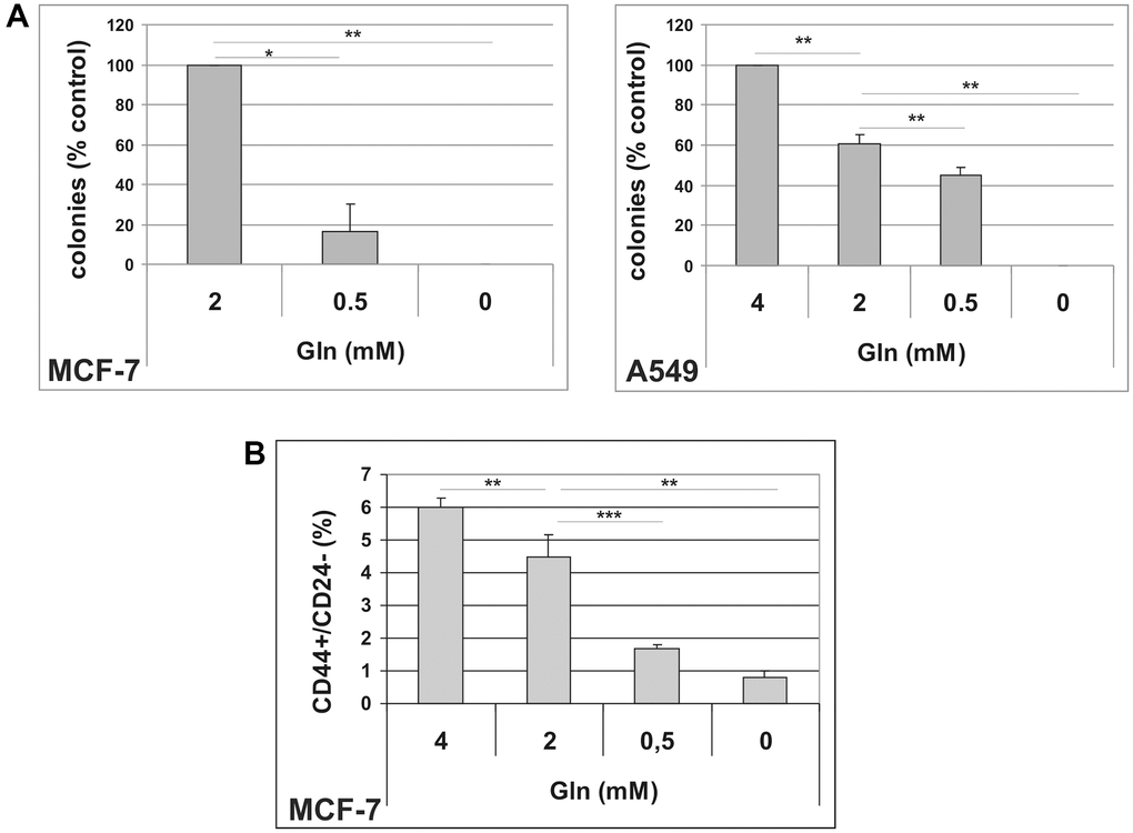 (A) Dose-dependent effects of glutamine on TIS escape. Doxorubicin-induced senescent MCF-7 and A549 cells were grown in media with different glutamine concentrations. Colonies that evaded the senescent growth arrest were stained and counted. Data are mean ± S.D. of three independent experiments. (B) Dose-dependent effects of glutamine on CD44+/CD24− subpopulation. MCF-7 cells were grown for 48 hours in media with different glutamine concentrations. Expression of CD44 and CD24 was analyzed by flow cytometry. Data are mean ± S.D. of three independent experiments.