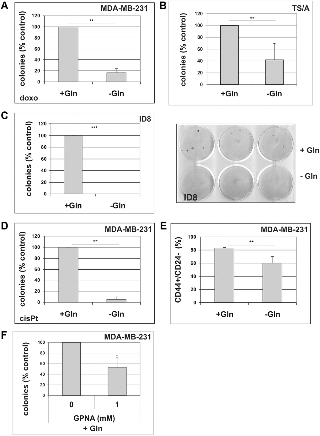 The effect of glutamine deprivation on TIS escape. (A) Doxorubicin-induced senescent MDA-MB-231 cells were grown in the presence or in the absence of glutamine. Colonies that evaded the senescent growth arrest were counted. Data are mean ± S.D. of three independent experiments. (B) Doxorubicin-induced senescent TS/A cells were grown in the presence or in the absence of glutamine. Colonies that evaded the senescent growth arrest were stained and counted. Data are mean ± S.D. of three independent experiments. (C) Doxorubicin-induced senescent ID8 cells were grown in the presence or in the absence of glutamine. A representative image of a colony escape assay in ID8 cells is shown. Colonies that evaded the senescent growth arrest were stained and counted. Data are mean ± S.D. of three independent experiments. (D) CisPt-induced senescent MDA-MB-231 cells were grown in the presence or in the absence of glutamine. Colonies that evaded the senescent growth arrest were counted. Data are mean ± S.D. of three independent experiments. (E) Effect of glutamine on CD44+/CD24− subpopulation. MDA-MB-231 cells were grown for 48 hours in the presence or in the absence of glutamine. Expression of CD44 and CD24 was analyzed by flow cytometry. Data are mean ± S.D. of three independent experiments. (F) GPNA treatment abolishes escape from TIS. Doxorubicin-induced senescent MDA-MB-231 cells were grown in complete medium (+Gln), in the absence or in the presence of 1 mM GPNA. Colonies that evaded the senescent growth arrest were stained and counted. Data are mean ± S.D. of two independent experiments.