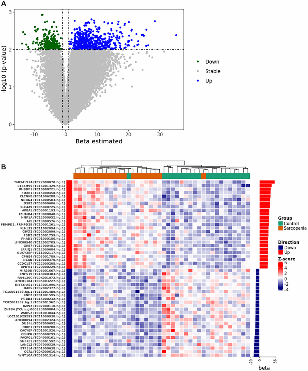 Gene expression pattern from the logistical regression analysis. (A) The volcano plot was constructed using the full list of 67528 transcript clusters analyzed. The top 821 transcripts were highlighted in blue (556 PPR) and green (255 PNR). A p-value of 1 was considered statistically significant. (B) The heat map shows the unsupervised clustering of the normalized expression pattern. The dendrogram indicates two clusters that stratified LMM and control group in distinct clusters. The right panel of the heat map shows the bar graph of beta coefficient values. Abbreviations: Beta: Estimated logistic regression coefficient; PPR: Predictor with Positive Relationship also called Up in panel A and B; PNR: Predictor with Negative Relationship also called Down in panel A and B.