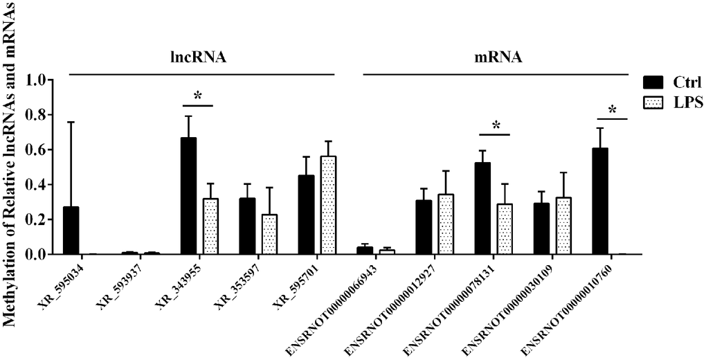 Confirmatory analysis of microarray results. M6A single-base site qPCR was used to validate the top five differentially methylated aortic lncRNAs and mRNAs identified through microarray in the LPS and Ctrl groups. Ctrl, control.