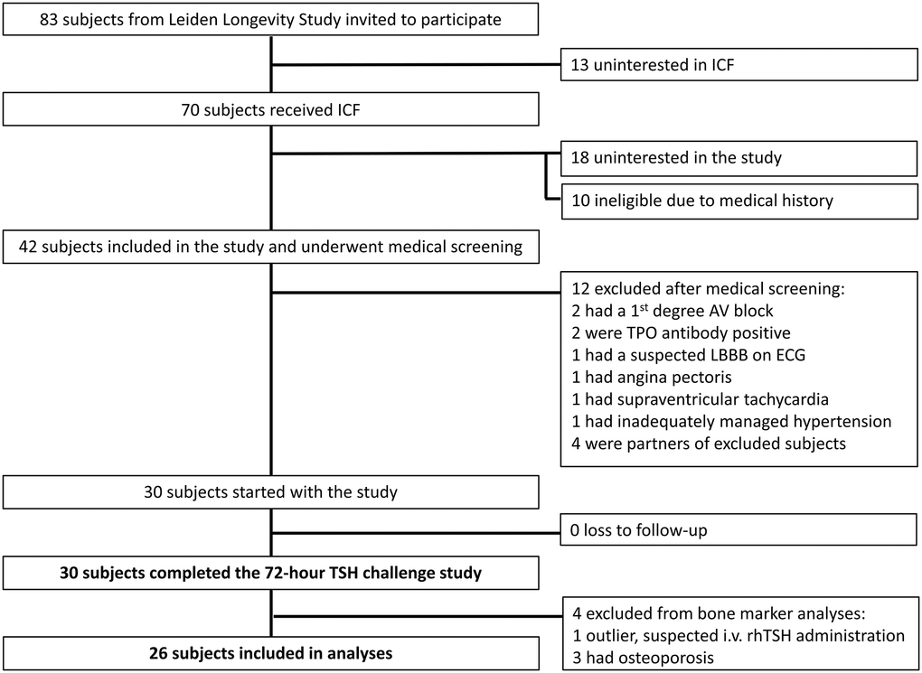 Inclusion flow chart bone marker analysis in the recombinant human thyroid stimulating hormone (rhTSH) study. Abbreviations: ICF: informed consent form; AV: atrioventricular; TPO: thyroid peroxidase; LBBB: left bundle branch block; ECG: electrocardiogram; i.v.: intravenous.