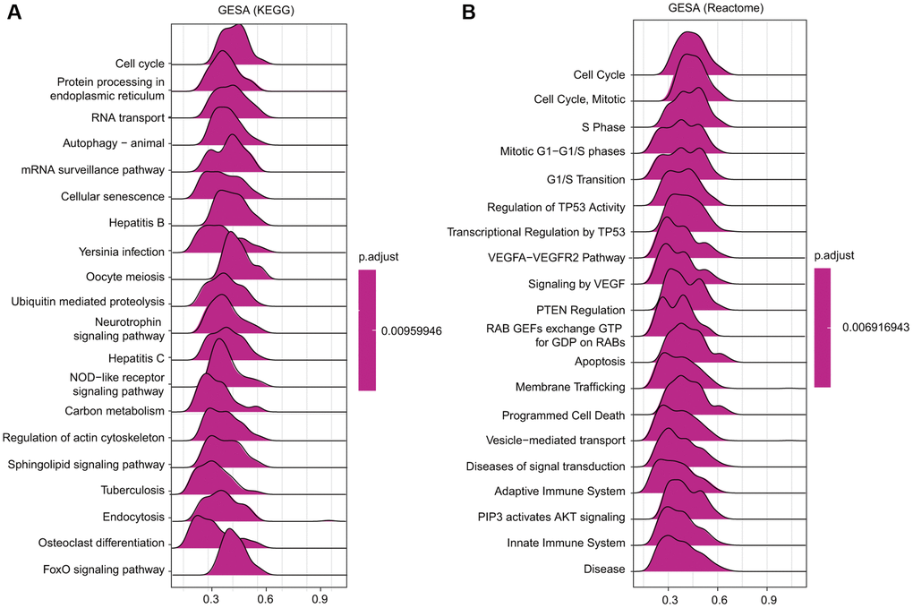 Merged enrichment plots obtained by GSEA. (A–B) Merged plots showing the enriched signaling pathways correlated with TfR1 expression based on KEGG analysis and Reactome analysis in BC.