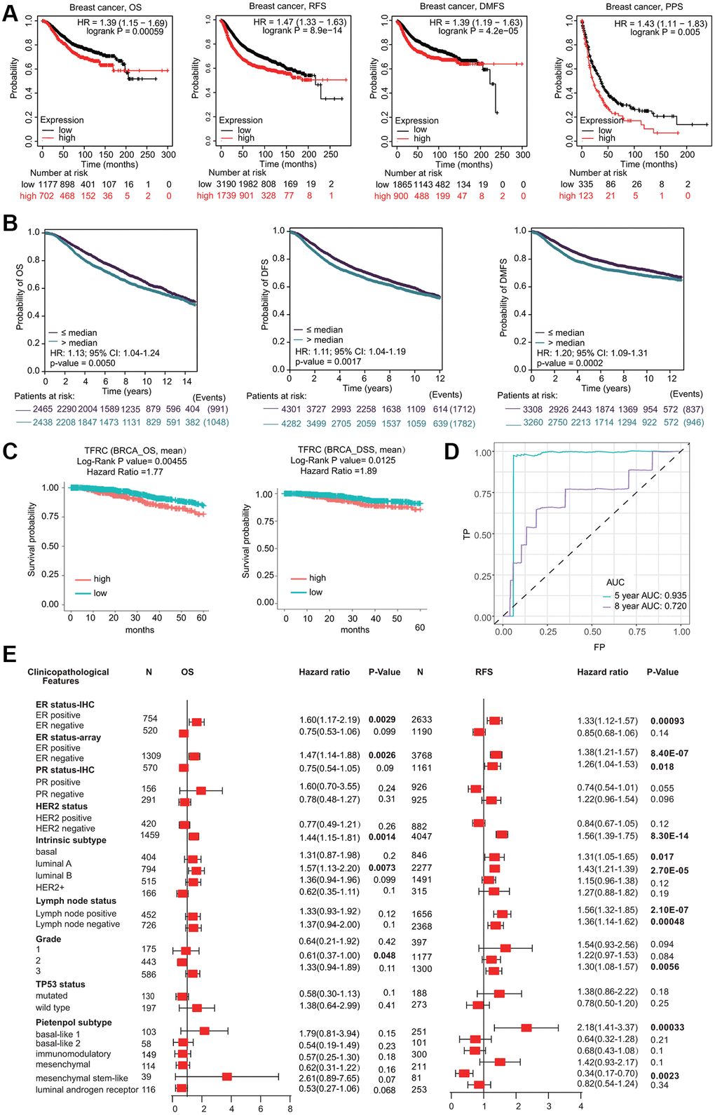 Prognostic significant of TfR1 in BC. (A) The OS, RFS, DMFS and PPS of BC cohorts were obtained from the KM plotter database. (B) The OS, DFS and DMFS in BC cohorts obtained through bc-GenExMiner v4.5. (C) The OS and DSS of BC cohorts obtained through the DiverDBv3 database. (D) ROC curve of TfR1 expression was shown. (E) Forest plots showing the associations between TfR1 expression and the clinicopathological features of patients with BC.