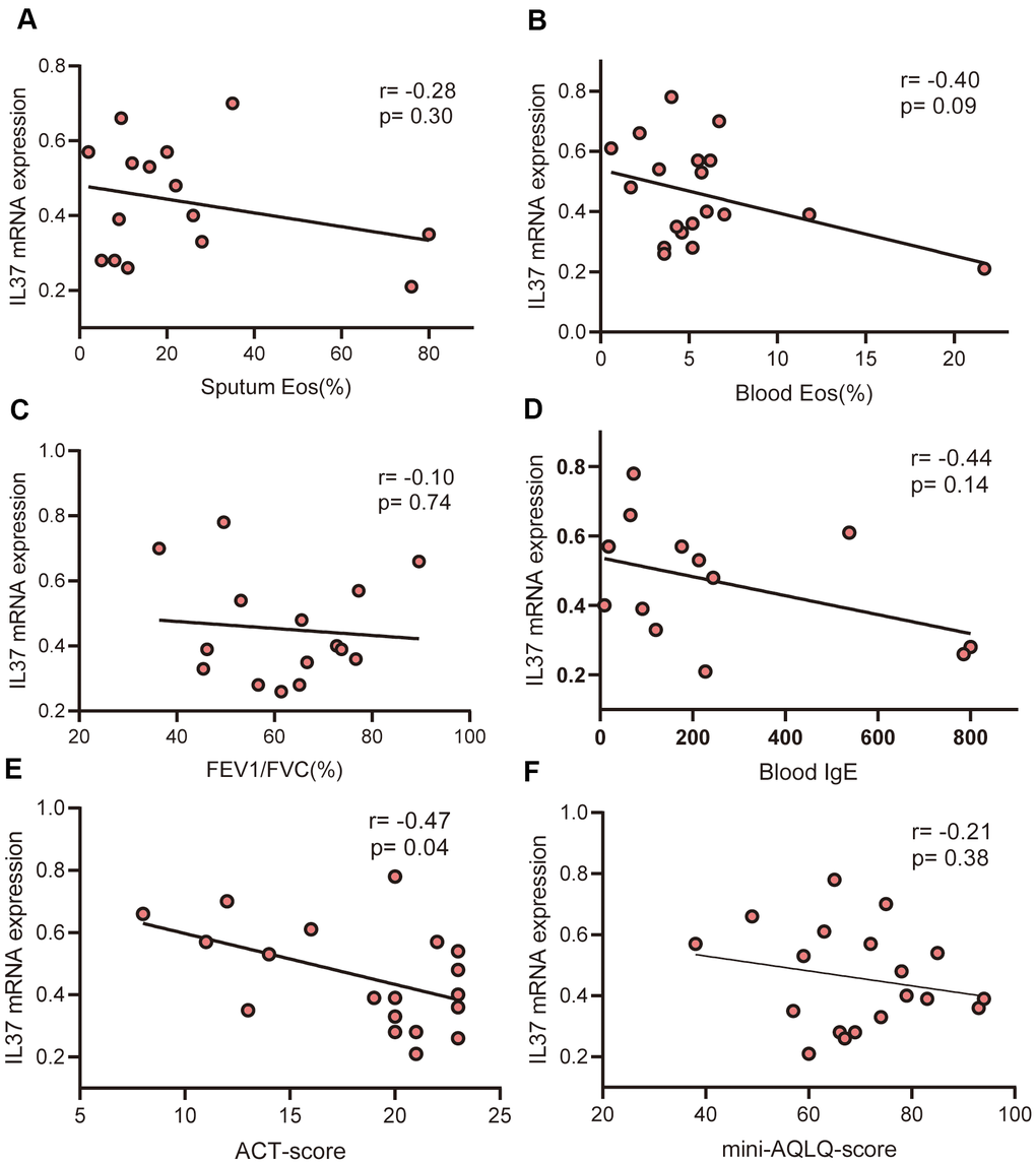 Correlations of IL-37 levels with clinical characteristics. Each points represents one person. (A) There is no correlation between IL-37 mRNA levels and % sputum eosinophils (r=-0.28, p=0.30). (B) There is no correlation between IL-37 mRNA levels and % peripheral blood eosinophils (r=-0.40, p=0.09). (C) There is no correlation between IL-37 mRNA levels and %FEV1/FVC (r=-0.10, p=0.74). (D) There is no correlation between IL-37 mRNA levels and peripheral blood IgE (r=-0.44, p=0.14). (E) ACT-scores were negatively correlated with IL-37 mRNA levels (r=-0.74, p=0.04). (F) There is no correlation between IL-37 mRNA levels and mini-AQLQ-scores (r=-0.28, p=0.30). Data were analyzed using Spearman’s rank correlation.