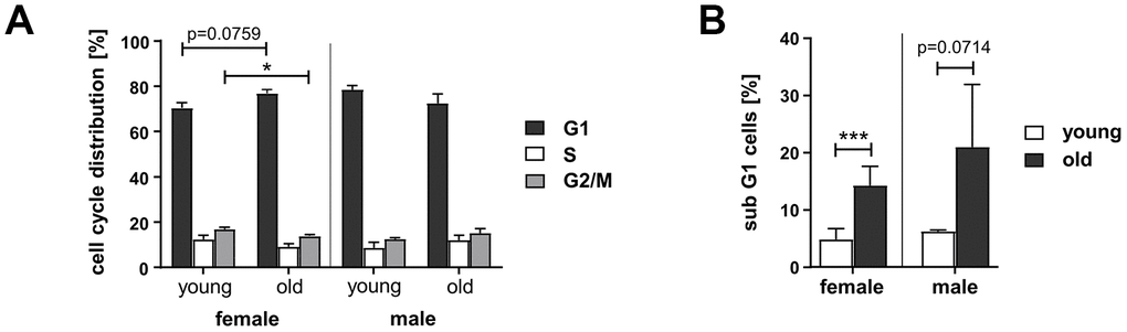 Cell cycle distribution and cell death in PBL from different age groups. Cultivated PBL were fixed and DNA content analyzed by propidium iodide staining and flow cytometry. Percentage of live cells in G1-, S-, and G2-phase (A) and proportion of dead cells, determined by subG1-DNA content (B); female: n=11 (young), n=8 (old); male: n=2 (young), n=6 (old) (Supplementary Table 1).