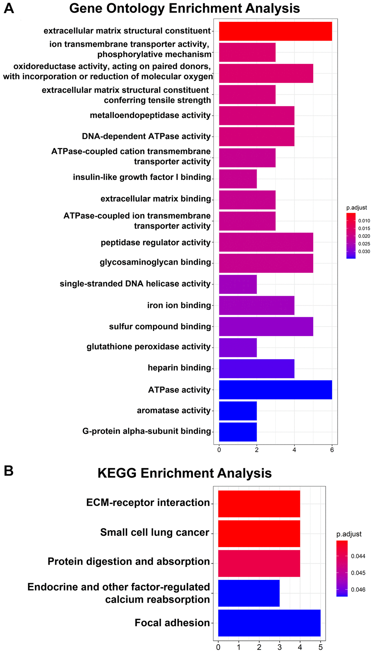 GO and KEGG pathway enrichment analyses of 64 DEGs. (A) Top 20 GO enrichment analyses of 64 DEGs. (B) KEGG pathway analysis of 64 DEGs. P 