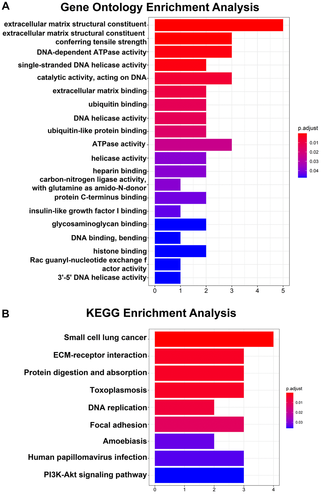 GO and KEGG pathway analyses of 14 hub genes. (A) Top 20 GO enrichment analyses of 14 hub genes. (B) KEGG pathway analysis of 14 hub genes. P 
