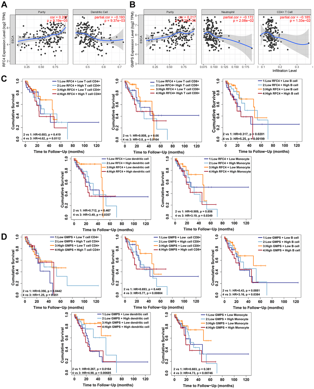 RFC4 and GMPS expression correlates with tumor-infiltrating immune cells and immune escape in esophageal carcinoma. (A) RFC4 expression was positively correlated with the tumor purity (r = 0.287, p p B) GMPS expression was positively correlated with the tumor purity (r = 0.217, p p p C) A high level of RFC4 accompanied by a high expression of CD4+ T cells (p = 0.0112), CD 8+ T cells (p = 0.0164), B cells (p = 0.00199), dendritic cells (p = 0.0357) and monocytes (p = 0.0349) indicated a poor prognosis. When RFC4 was expressed at low levels, a high expression of B cells (p = 0.0201) was associated with a better prognosis. (D) A high level of GMPS accompanied by a high expression of CD 8+ T cells (p = 0.00804), B cells (p = 0.0384), dendritic cells (p = 0.00685) and monocytes (p = 0.00746) indicated a poor prognosis. When GMPS was expressed at low levels, a high expression of CD 8+ T cells (p = 0.0442) and dendritic cells (p = 0.0164) was associated with a better prognosis. p 
