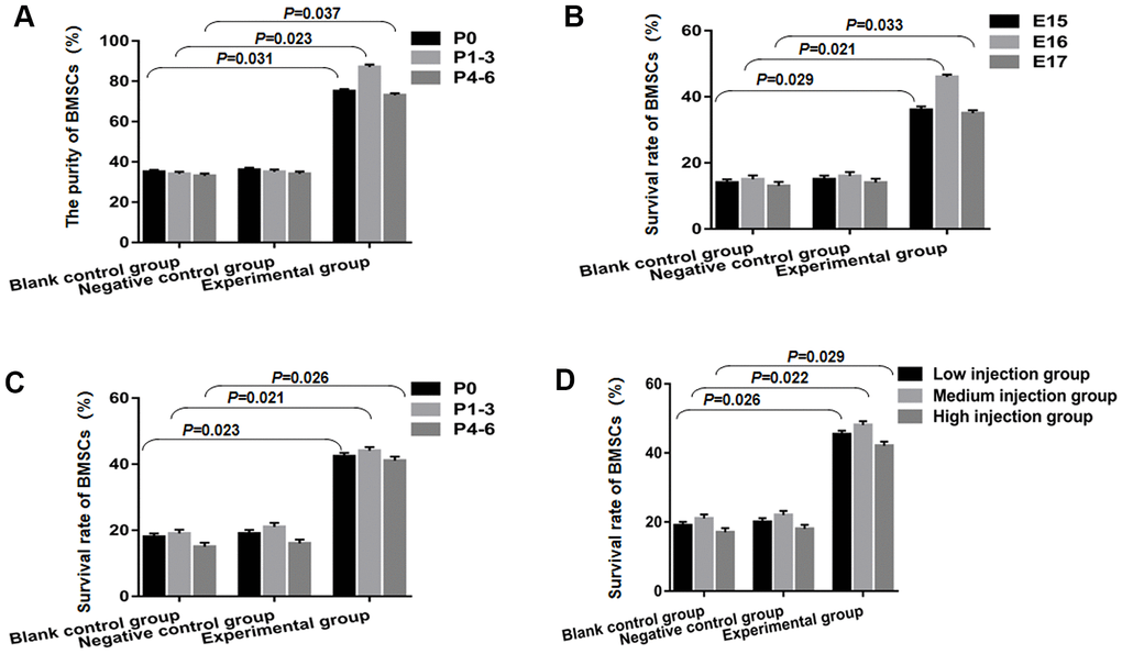 BMSCs combined with STAT3 overexpression plasmid transfection can improve the success rate of transplantation. (A) The purity of BMSCs in the experimental group was statistically significant, compared to the blank control group and negative control group. (B) The overall survival rate of BMSCs in the experimental group was found to be slightly higher than that of blank control group and negative control group from E15 to E17, and statistically significant. (C) BMSCs survival was notably increased at P0, P1-3 and P4-6 compared to the blank control group and negative control group (PD) The medium injection group was remarkably different from the change that occurred in the low injection group and high injection group on E19 fetuses after P1-3 BMSCs transplantation, which reached a statistical significance.
