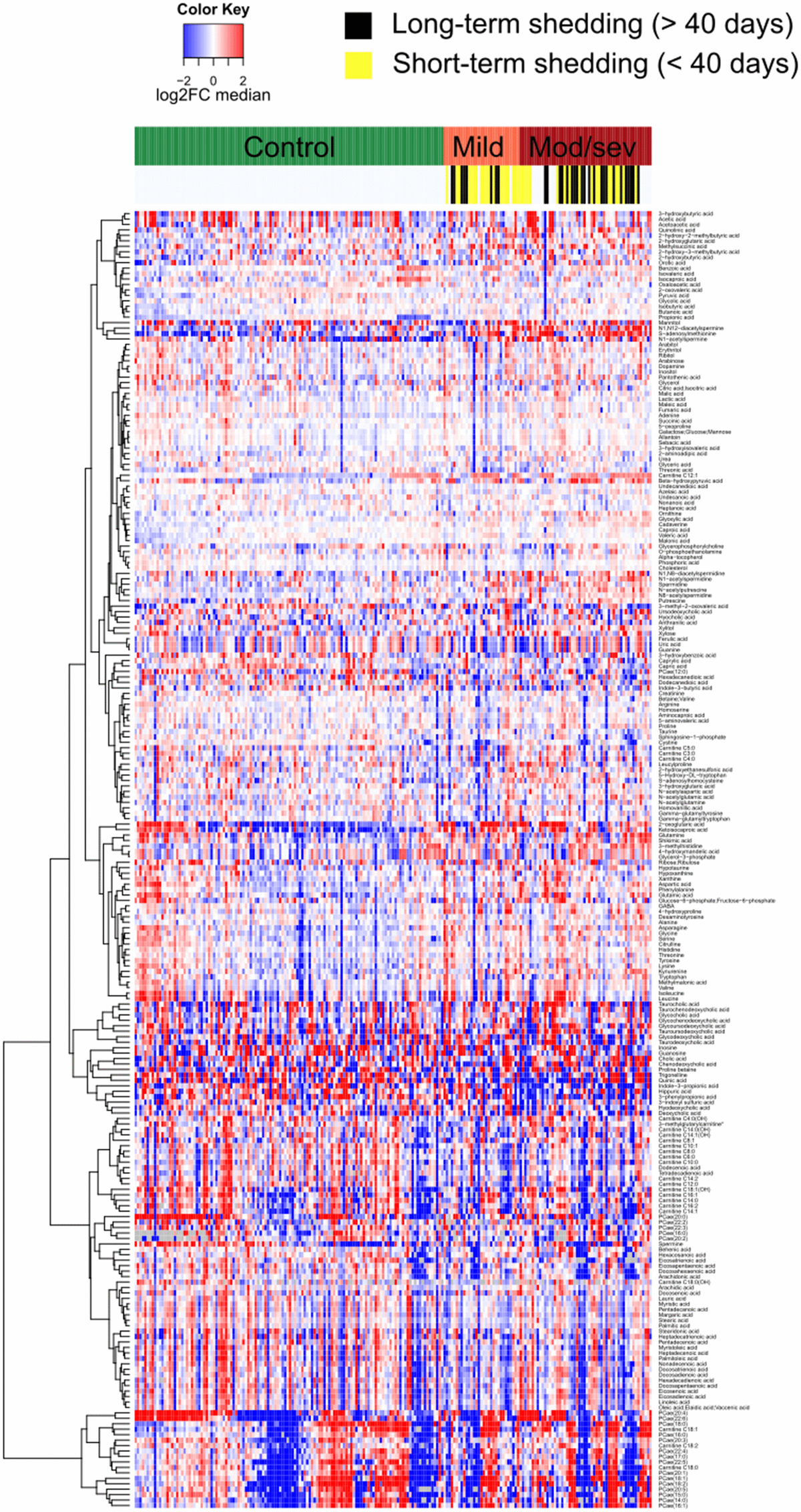 Heatmap representing the serum metabolome of each individual cancer patient clustered by clinical severity of Covid-19. Targeted metabolomic data on 211 serum samples from 204 patients were normalized areas of identified metabolites. Results are listed in Supplementary Table 1.