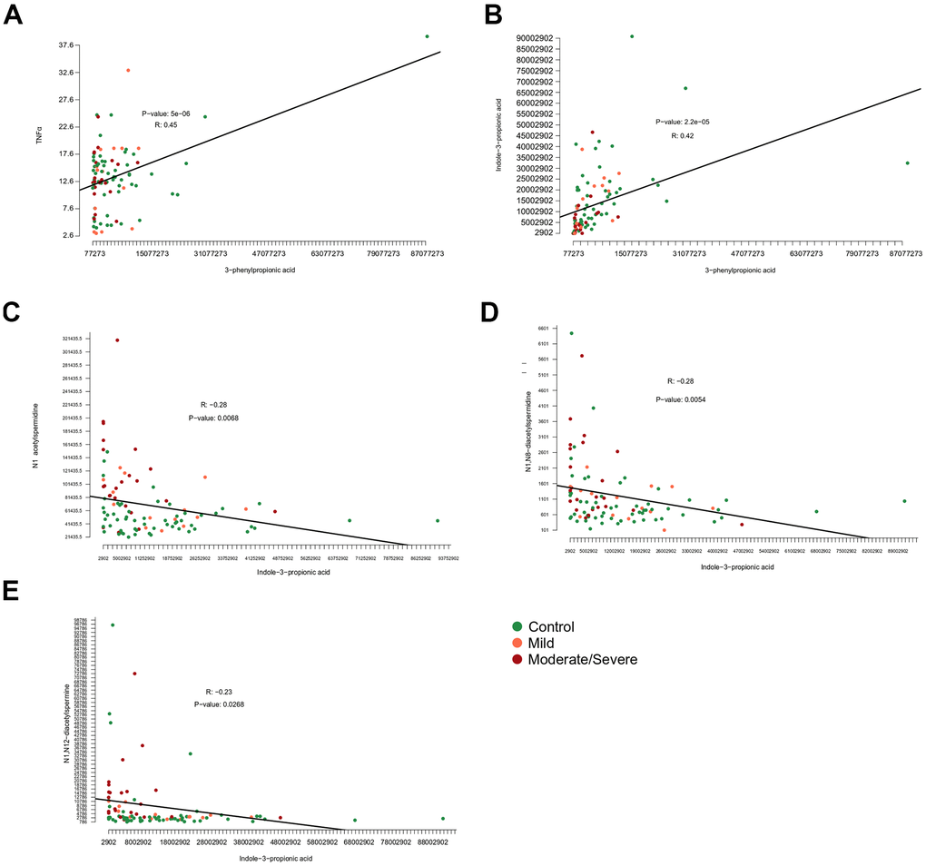 Correlation among metabolites and inflammatory markers. Correlations of (A) 3−phenylpropionic acid and tumor necrosis factor alpha (TNFα), (B) 3−phenylpropionic acid and indole-3-phenylpropionic acid, (C) indol-3-propionic acid and N1-acetylspermidine or (D) N1,N8-diacetylspermidine or (E) N1,N12-diacetylspermine.