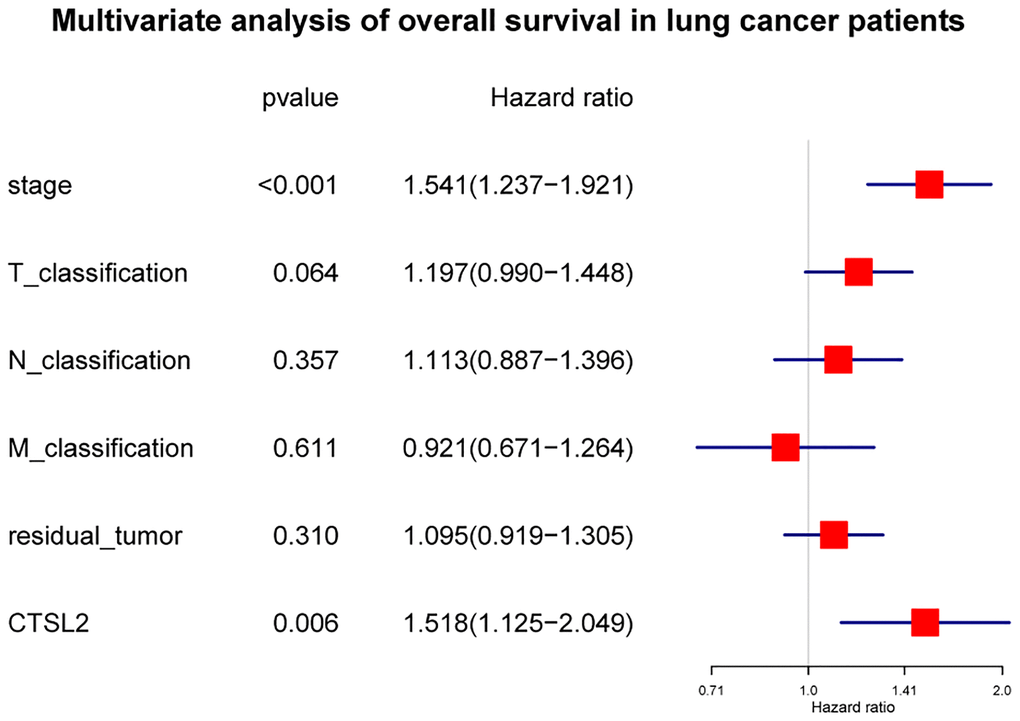 Forest plot of the multivariate Cox regression analysis in lung adenocarcinoma.