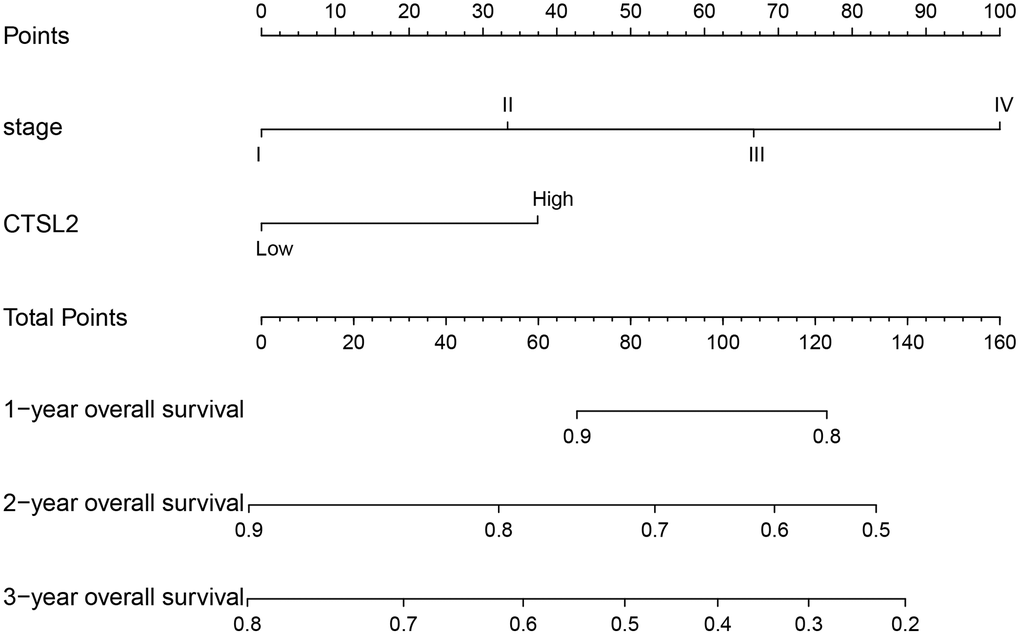 Nomogram for predicting probability of patients with 1-, 2- and 3-year overall survival. 1-, 3- and 5-year related survival probabilities were obtained by draw a line straight down to the Risk axis.