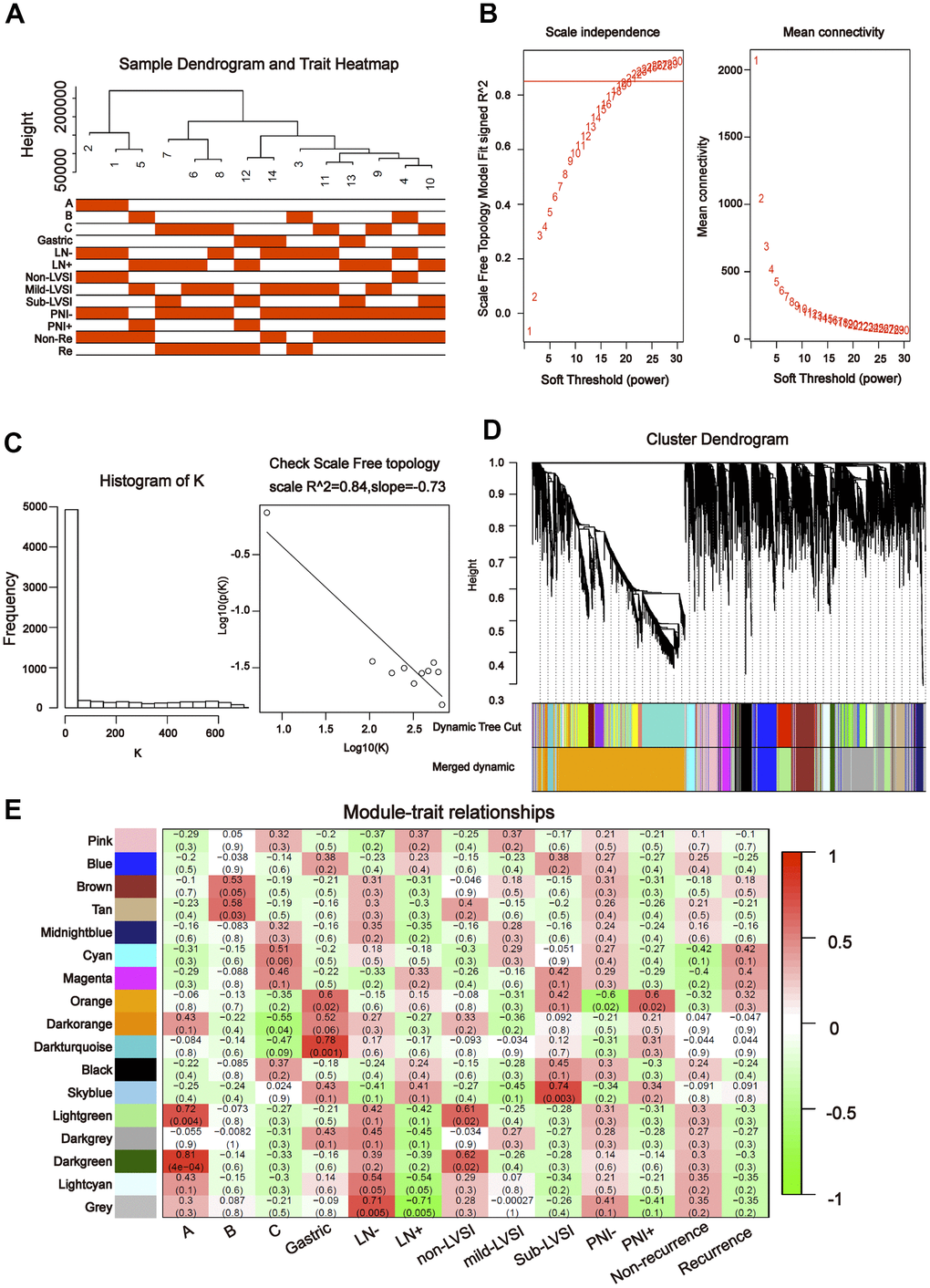 Construction of weighted gene co-expression network by analyzing of tDRs. (A) Sample dendrogram and clinical variable heatmap based on tDRs. (B) Determination of network topology from different soft-threshold powers. (C) Check scale-free topology. (D) Clustering dendrograms of identified co-expressed tDRs in modules. (E) Heatmaps of the correlation between eigengene and clinical traits based on tDRs.