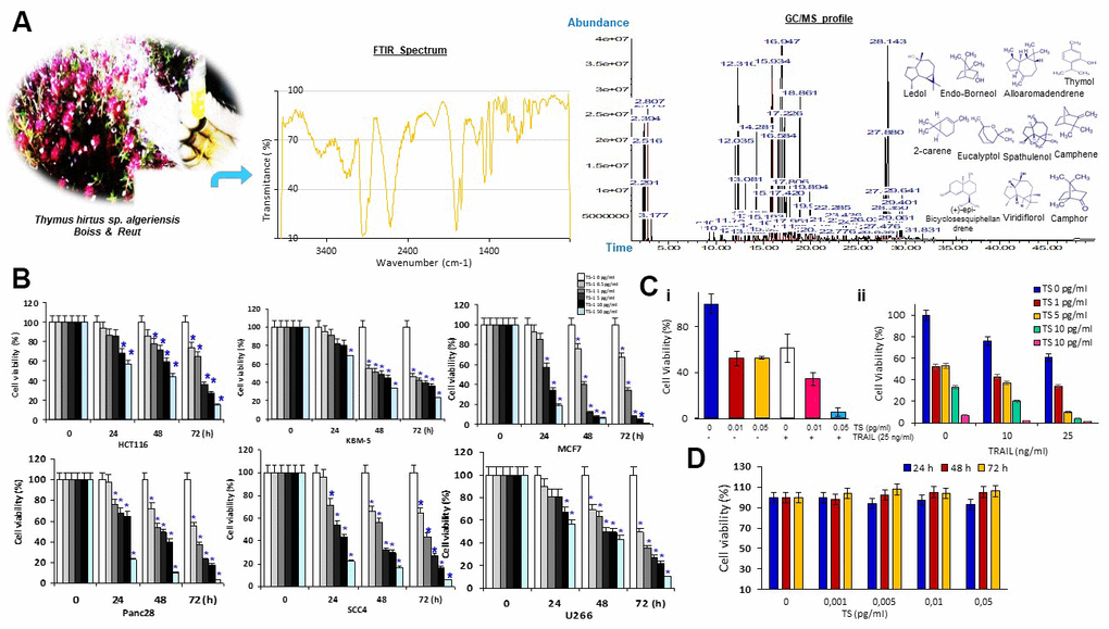 (A) Morphological features of TS plant samples at different phenological stages and structures of main components of the essential oil detected by GC/MS and FTIR. (B) Percentage of cancer cell viability after treatment with various concentrations of Thymus hirtus Ssp. algeriensis (TS) for different time points (0, 24, 48 and 72 hrs); * = statistical significance; P˂0.05. (C) TS sensitizes TRAIL-induced cytotoxicity. Briefly, HCT116 cells (5 × 103 cells/well) were seeded in triplicate in 96-well plates. The cells were exposed to different concentrations of thyme volatile oil (0, 0.01 or 0.05 μl/ml) for 12 h, the medium was removed, and tumor cells were then incubated with 25 ng/ml TRAIL for additional 24 h. Cell viability was then determined by the MTT assay. (D) Effect of TS on RAW cell viability. RAW 264.7 cells, seeded in triplicate in 96-well plates, were exposed to different concentrations of TS (0, 0.001, 0.005, 0.01 or 0.05 μl/mL) and incubated for 24 h, 48 h and 72 h. Cell viability was analyzed with the MTT assay.