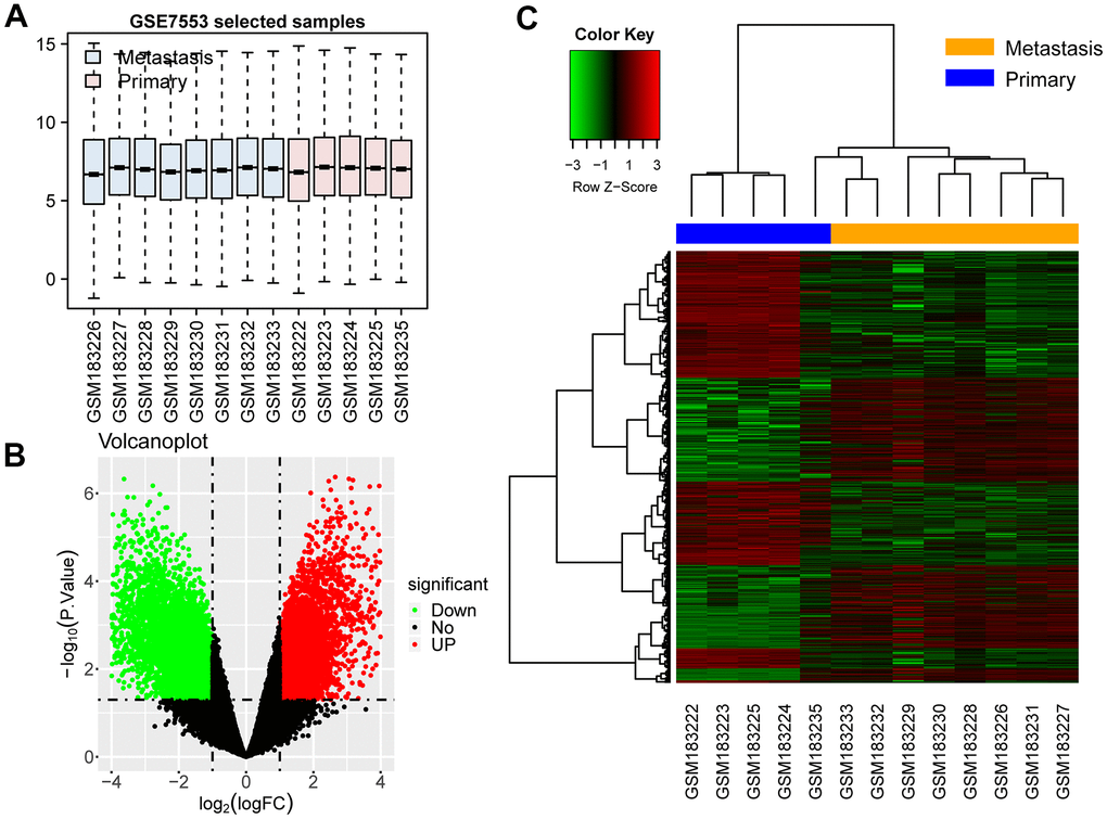 DEGs in the two groups of samples. (A) Box plot: Expression levels of all samples are normalized. (B) Volcano map of DEGs: the green dots represent downregulated genes in metastases, and the red ones represent upregulated genes. (C) Cluster heat map: the green blocks represent downregulated genes in metastases. The red blocks represent upregulated genes.