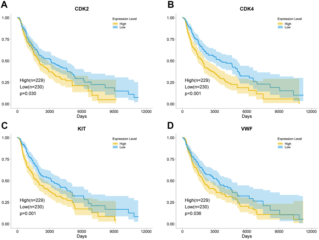 Key genes leading to poor prognosis. The high expression of CDK2 (A), CDK4 (B), KIT (C), and VWF (D) significantly reduced the survival rate of patients with melanoma. The yellow curve represents the high expression of the key genes, and the blue curve represents the low expression of the key genes.