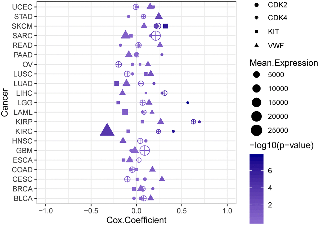 Cox regression analysis plot. The high expression levels of CDK2, CDK4, KIT, and VWF are risk factors for patients with melanoma.