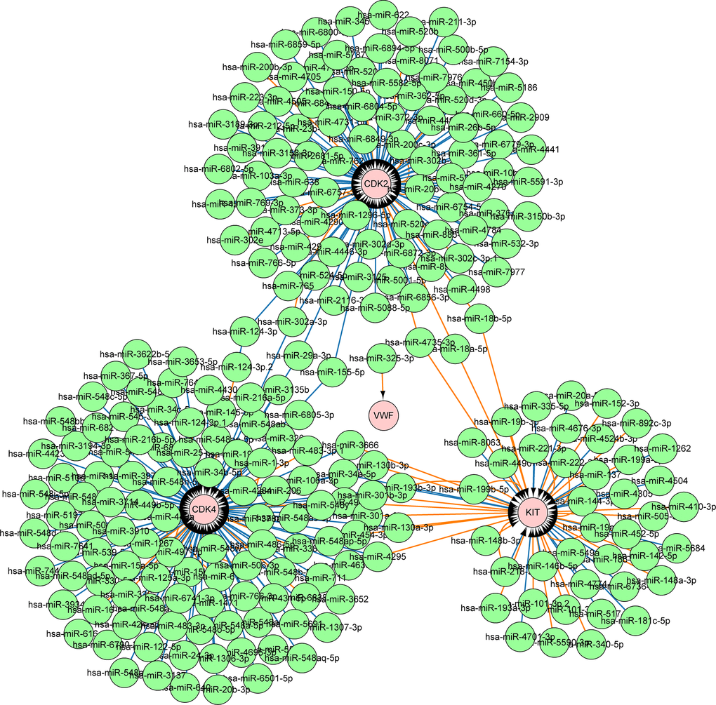 MiRNAs involved in the regulation of four key genes. A total of 240 miRNAs may regulate the expression of four key genes.